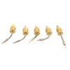 Specialized Tools - 2827-2000P-ND - DigiKey