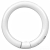 Circline Fluorescent Lamp -- FC12T9/D - Image