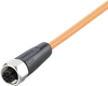 Connecting cable with socket - EVT463 - ifm electronic gmbh