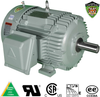 IEEE-841 Motors-Rigid Base, IEEE-841 Rigid Base -- IEEE1.5-36-143T - Image