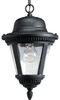 P5530-31 Exterior -Hanging - 709890 - Capital Lighting, Inc.