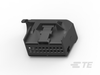 Automotive Connector Caps & Covers - 1-1534099-1 - TE Connectivity
