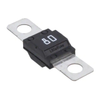 Circuit Protection - Fuses - 1361565-0498100.MXM6-CN - Win Source Electronics