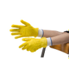 Disposable Gloves -- 2300694 - Image