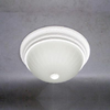 Flush Mounts-Bowl Style - 299781 - Light Center (The)