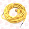 QD Cable/Cord Set - 4209847 - Radwell International