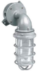 Vaporproof Incandescent Fixture with Globe and Guard - VFBGG-1-200 - Hubbell Electrical Products