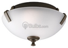 Close-to-Ceiling - P3290-20 - bulbs.com