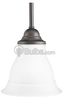 Mini-Pendant Fixture - P5096-20 - bulbs.com