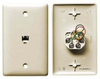 Datacommunication Face Plate with Jack - NS735LA - Hubbell Incorporated