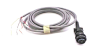 QD Cable/Cord Set - Radwell International
