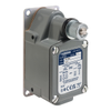 Limit Switches -- 5452-9007FTSB2-ND