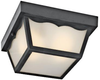 Exterior -Ceiling Mount - 391836 - Light Center (The)