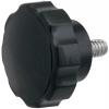 Lobed Knob - Male -- DK-26 - Image