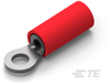 Ring Terminals - 8-31880-1 - TE Connectivity