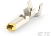 Automotive Terminals - 173631-2 - TE Connectivity
