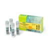 iScript&trade; Reverse Transcription Supermix for RT-qPCR - 170-8841 - Bio-Rad Laboratories, Inc.