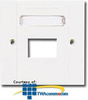 Siemon Single Gang MAX British Faceplate for 2 MAX Modules - MX-BFP-S-02-02 - TelephoneStuff.com