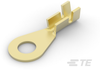 Ring Terminals - 160101-1 - TE Connectivity