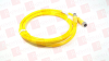 QD Cable/Cord Set - 12555611 - Radwell International