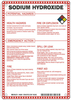 Brady B-120 Fiberglass Reinforced Polyester Rectangle White Chemical, Biohazard, Hazardous & Flammable Material Sign - 7 in Width x 10 in Height - TEXT: SODIUM HYDROXIDE - 48891 - 754476-48891 - R. S. Hughes Company, Inc.