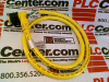 QD Cable/Cord Set - 23960301 - Radwell International