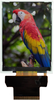 Lcd Tft Module, 2.8, 240 X 320P, Multi Rohs Compliant Midas - 84AH6472 - Newark, An Avnet Company