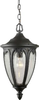 Exterior -Hanging - 86837 - Light Center (The)
