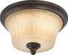 Flush Mounts-Bowl Style - 304652 - Light Center (The)