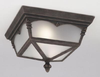 Exterior -Ceiling Mount - 202280 - Light Center (The)