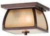Outdoor Ceiling Light - OL8513SBR - Generation Brands