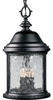 P5550-31 Exterior -Hanging - 783371 - Capital Lighting, Inc.