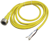 Sensor Cord, 5P, M12 Plug-Free End, 2M; Connector To Connector Molex - 29AH8534 - Newark, An Avnet Company