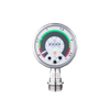 Flush pressure sensor with display -- PG1706 - Image