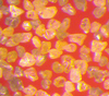 Micron Diamond Powders -- Resin Bond Standard Grade Diamond Powder