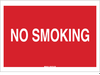 No Smoking Sign - 25110 - Brady Corporation