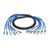 Cable Assemblies - Modular Cables - N261-015-6MF-BL - Shenzhen Shengyu Electronics Technology Limited