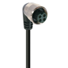 Mini Power Single-Ended Cordset: 1 3/8