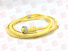 QD Cable/Cord Set - 99077198 - Radwell International