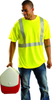 OCCU LUX-FRTP2 MD YLW; FLM RTD SHRT-SLV T-SHIRT - LUX-FRTP2 MD - R. S. Hughes Company, Inc.