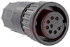 Connector; #20; Solder Cup; 8; Socket; Gold over Nickel; 0.365 in.; 600 V - 70025482 - Allied Electronics, Inc.