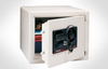 Combination FIRE-SAFE&reg; -- S0310 - Image