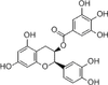 (-)-Epicatechin Gallate -- E0890