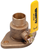 Isolation Pump Flanges - 0068096 - Watts
