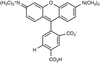 5-Carboxytetramethylrhodamine - 4974 - Medical Isotopes, Inc.