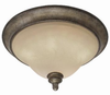 2488-17 FI Flush Mounts-Bowl Style - 783812 - Capital Lighting, Inc.