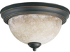 3076-11-95 Flush Mounts-Bowl Style - 726676 - Capital Lighting, Inc.