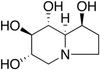 Castanospermine -- C185000 - Image