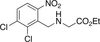 Ethyl 2-(6-Nitro-2,3-dichlorobenzyl)glycine - 25317 - Medical Isotopes, Inc.