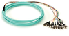 3m ST OM3 50-Micron MM Fiber Pigtail 12-Strand OFNR PVC Aqua - FOPT50M3-ST-12AQ-3 - Black Box